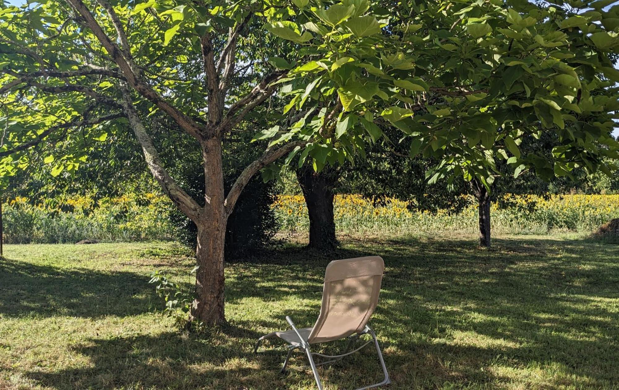 Maison Au Calme En Dordogne Tremolat Bagian luar foto